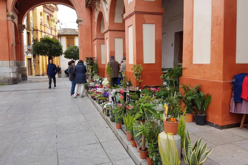 Apartamento San Pedro-Corredera Кордова Экстерьер фото
